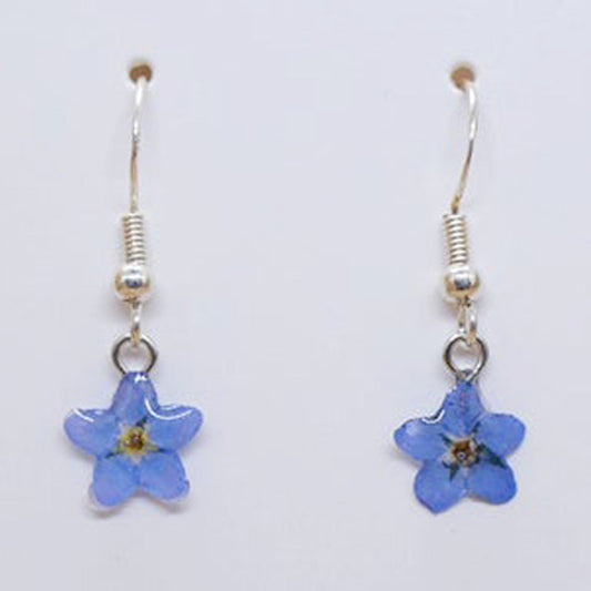 925 SILVER SIMPLE FORGET ME NOT FLOWER EARRINGS