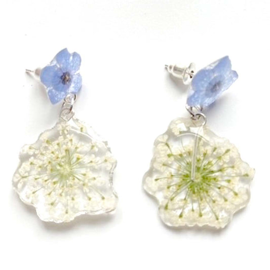 Forget me not real flower earrings