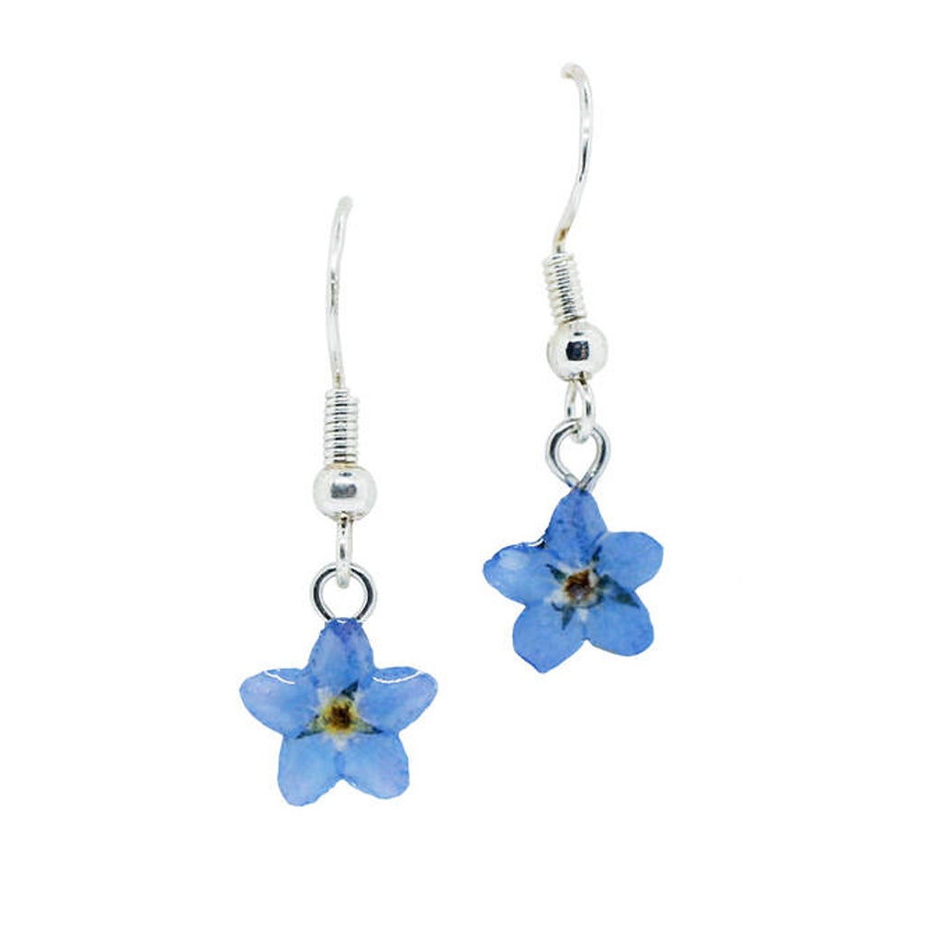 925 sterling silver drop earrings with teardrop pendants featuring a real blue forget-me-not flower encased in resin.
