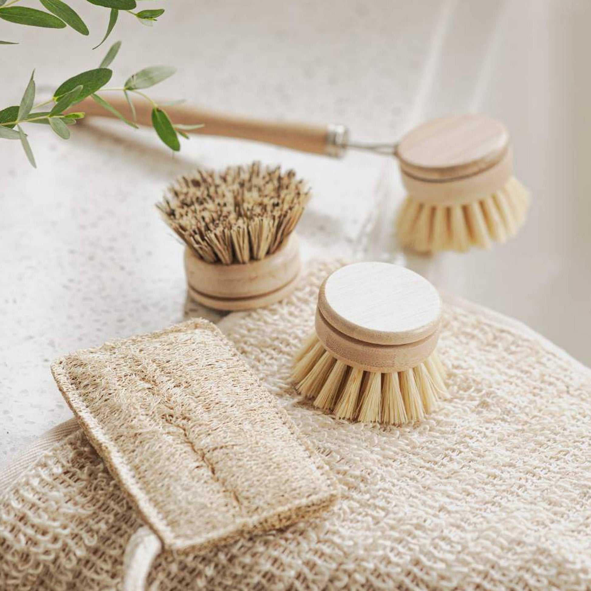 Jungle Culture sustainable 4-piece bamboo dish brush starter set including long handle, soft and firm replacement heads, and a natural loofah sponge on a kitchen counter.